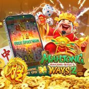 3537bet